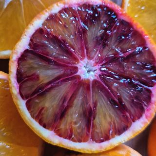 Dlouhá citrusová sezóna je u konce a já už se nemůžu dočkat té jahodové! 😍 #citrusy #citrusovasezona #sicily #marmelada...